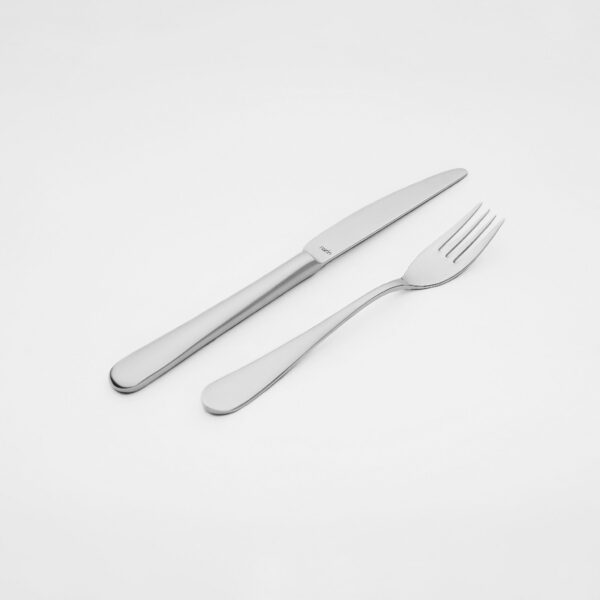 ست کارد و چنگال میوه خوری ساده مات Epsilon
